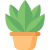 plant (1)